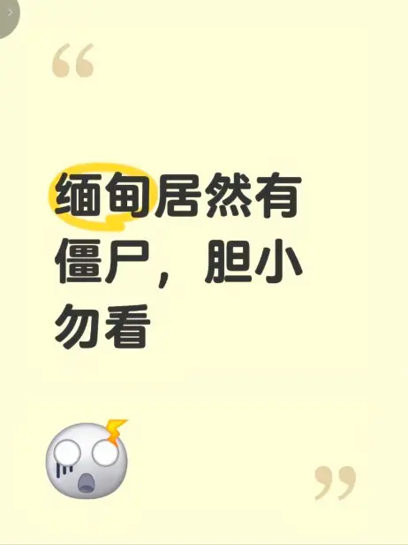 缅甸僵尸出土事件高清视频-揭秘缅北神秘真相-《缅甸僵尸出土事件》完整版在线观看