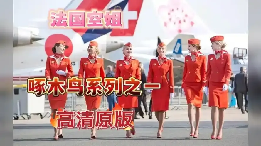 《法国空姐4》资源下载指南-法国空姐4法国完整版超高清在线观看-免费赛尔VS影院-法国空姐2019满天星法版