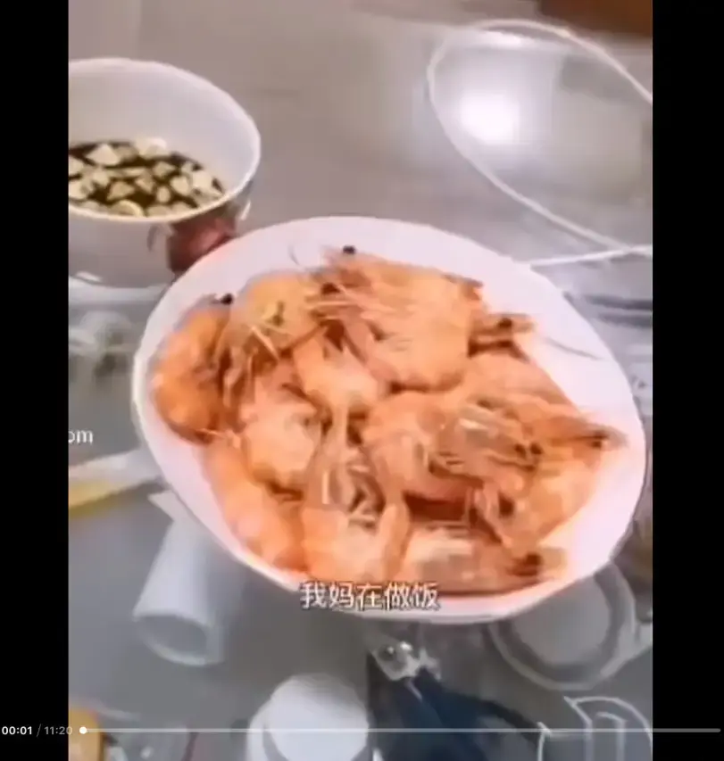 《大虾母子厨房完整版》高清视频在线观看-大虾母子厨房完整版来龙去脉解析-免费看懂猎奇视频梗