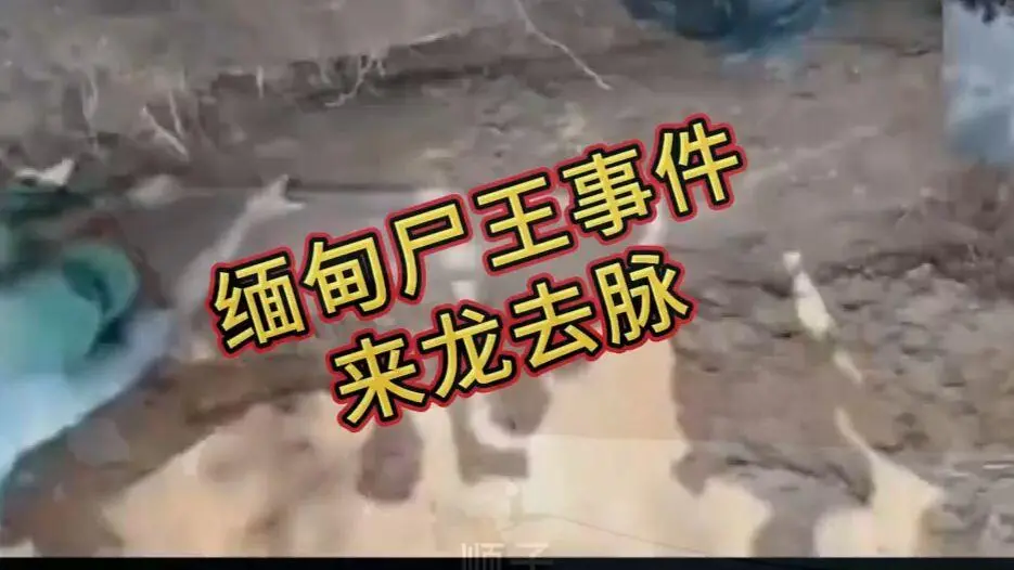 《缅甸僵尸出土事件视频》诡异真相解密-缅北僵尸出土始末原视频高清下载-在线观看免费播放完整版