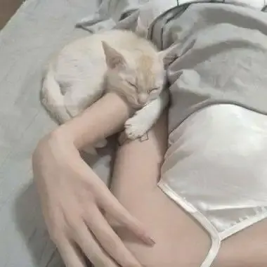 《森泽佳奈》高清全集未删减中文版免费在线观看-森泽佳奈1080P蓝光无广告网盘下载资源